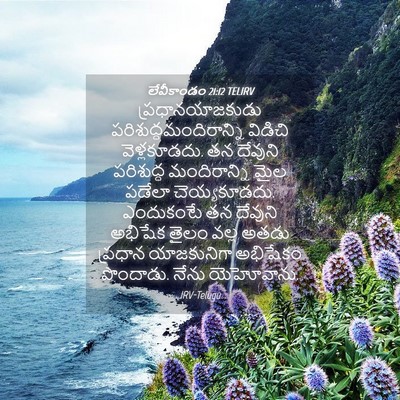 Picture 04 - లేవీకాండం 21:12 TELIRV - ప్రధానయాజకుడు - Bible Verse Picture