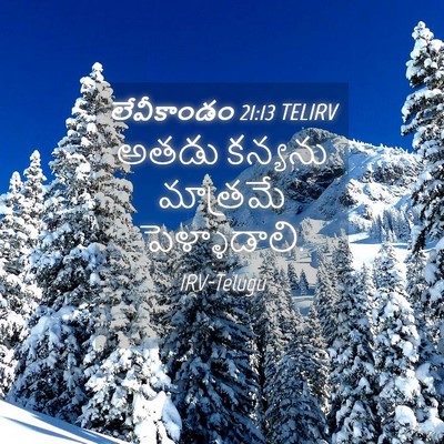 Picture 04 - లేవీకాండం 21:13 TELIRV - అతడు కన్యను - Bible Verse Picture