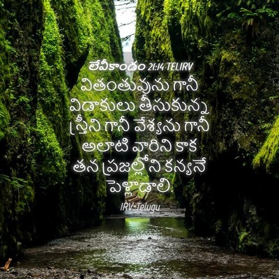 Picture 04 - లేవీకాండం 21:14 TELIRV - వితంతువును గానీ - Bible Verse Picture