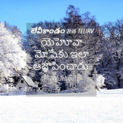 Picture 04 - లేవీకాండం 21:16 TELIRV - యెహోవా మోషేకు ఇలా - Bible Verse Picture