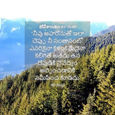 Picture 04 - లేవీకాండం 21:17 TELIRV - “నీవు అహరోనుతో - Bible Verse Picture