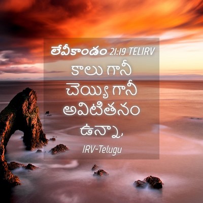 Picture 04 - లేవీకాండం 21:19 TELIRV - కాలు గానీ చెయ్యి - Bible Verse Picture