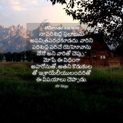 Picture 04 - లేవీకాండం 21:24 TELIRV - నా పరిశుద్ధ - Bible Verse Picture