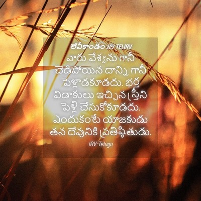 Picture 04 - లేవీకాండం 21:7 TELIRV - వారు వేశ్యను గానీ - Bible Verse Picture