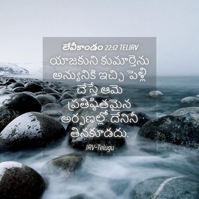 Picture 04 - లేవీకాండం 22:12 TELIRV - యాజకుని - Bible Verse Picture