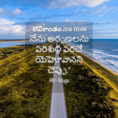 Picture 04 - లేవీకాండం 22:16 TELIRV - నేను అర్పణలను - Bible Verse Picture