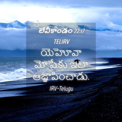 Picture 04 - లేవీకాండం 22:17 TELIRV - యెహోవా మోషేకు ఇలా - Bible Verse Picture