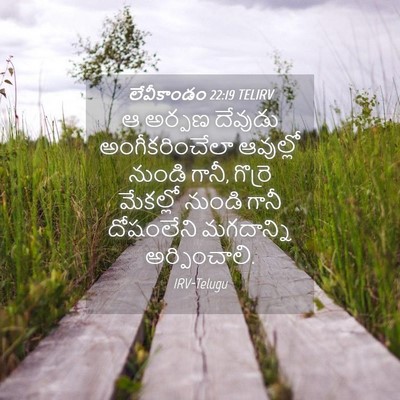 Picture 04 - లేవీకాండం 22:19 TELIRV - ఆ అర్పణ దేవుడు - Bible Verse Picture