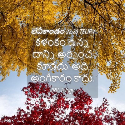 Picture 04 - లేవీకాండం 22:20 TELIRV - కళంకం ఉన్న దాన్ని - Bible Verse Picture