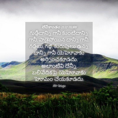 Picture 04 - లేవీకాండం 22:22 TELIRV - గుడ్డిదాన్ని గానీ - Bible Verse Picture