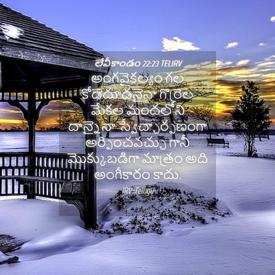 Picture 04 - లేవీకాండం 22:23 TELIRV - అంగవైకల్యం గల - Bible Verse Picture