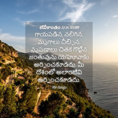 Picture 04 - లేవీకాండం 22:24 TELIRV - గాయపడిన, నలిగిన, - Bible Verse Picture