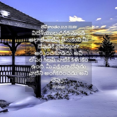 Picture 04 - లేవీకాండం 22:25 TELIRV - విదేశీయుల దగ్గర - Bible Verse Picture