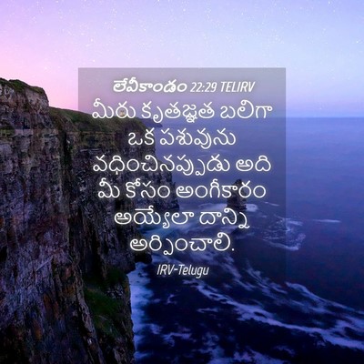 Picture 04 - లేవీకాండం 22:29 TELIRV - మీరు కృతజ్ఞత - Bible Verse Picture