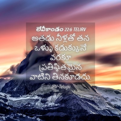 Picture 04 - లేవీకాండం 22:6 TELIRV - అతడు నీళ్లతో తన - Bible Verse Picture