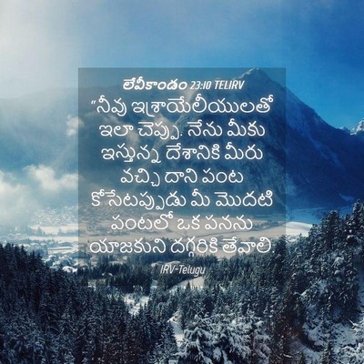 Picture 04 - లేవీకాండం 23:10 TELIRV - “నీవు - Bible Verse Picture