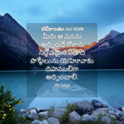 Picture 04 - లేవీకాండం 23:12 TELIRV - మీరు ఆ పనను - Bible Verse Picture