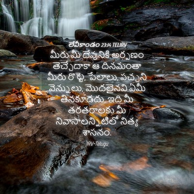 Picture 04 - లేవీకాండం 23:14 TELIRV - మీరు మీ దేవునికి - Bible Verse Picture
