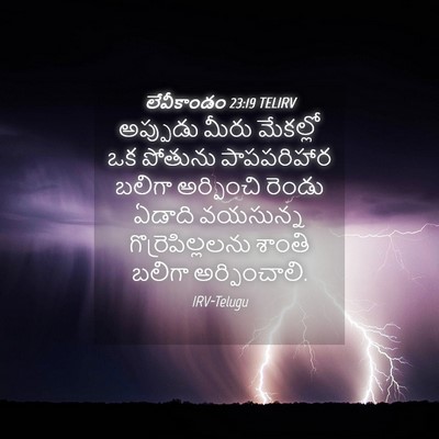 Picture 04 - లేవీకాండం 23:19 TELIRV - అప్పుడు మీరు - Bible Verse Picture