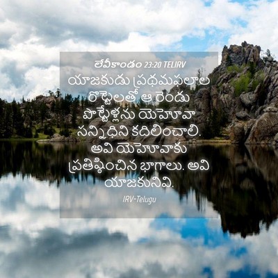 Picture 04 - లేవీకాండం 23:20 TELIRV - యాజకుడు ప్రథమఫలాల - Bible Verse Picture
