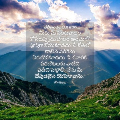 Picture 04 - లేవీకాండం 23:22 TELIRV - మీరు మీ పంటపొలం - Bible Verse Picture
