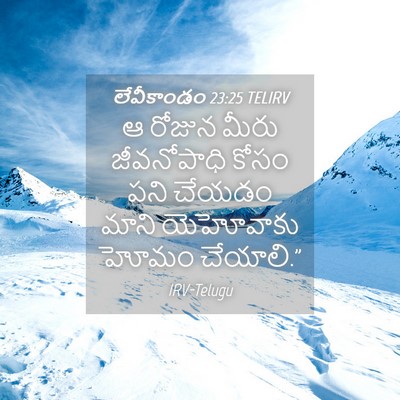 Picture 04 - లేవీకాండం 23:25 TELIRV - ఆ రోజున మీరు - Bible Verse Picture
