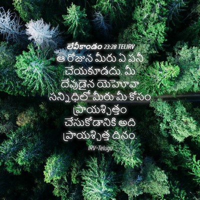 Picture 04 - లేవీకాండం 23:28 TELIRV - ఆ రోజున మీరు ఏ పనీ - Bible Verse Picture