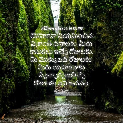 Picture 04 - లేవీకాండం 23:38 TELIRV - యెహోవా నియమించిన - Bible Verse Picture