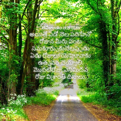 Picture 04 - లేవీకాండం 23:39 TELIRV - అయితే ఏడో నెల - Bible Verse Picture