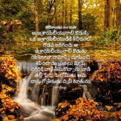 Picture 04 - లేవీకాండం 24:11 TELIRV - ఆ ఇశ్రాయేలీయురాలి - Bible Verse Picture
