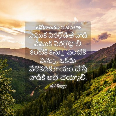 Picture 04 - లేవీకాండం 24:20 TELIRV - ఎముక విరగ్గొడితే - Bible Verse Picture