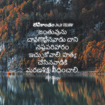 Picture 04 - లేవీకాండం 24:21 TELIRV - జంతువును - Bible Verse Picture
