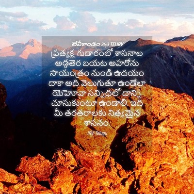 Picture 04 - లేవీకాండం 24:3 TELIRV - ప్రత్యక్ష - Bible Verse Picture