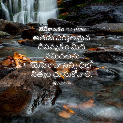 Picture 04 - లేవీకాండం 24:4 TELIRV - అతడు నిర్మలమైన - Bible Verse Picture