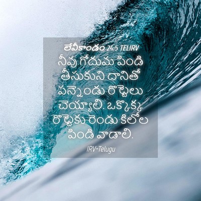 Picture 04 - లేవీకాండం 24:5 TELIRV - నీవు గోదుమ పిండి - Bible Verse Picture