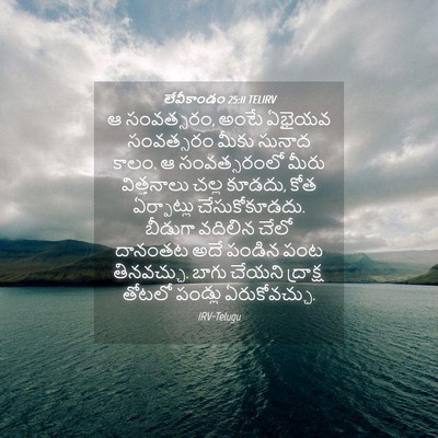 Picture 04 - లేవీకాండం 25:11 TELIRV - ఆ సంవత్సరం, అంటే - Bible Verse Picture