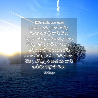 Picture 04 - లేవీకాండం 25:16 TELIRV - ఆ సంవత్సరాల లెక్క - Bible Verse Picture