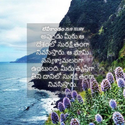 Picture 04 - లేవీకాండం 25:19 TELIRV - అప్పుడు మీరు ఆ - Bible Verse Picture