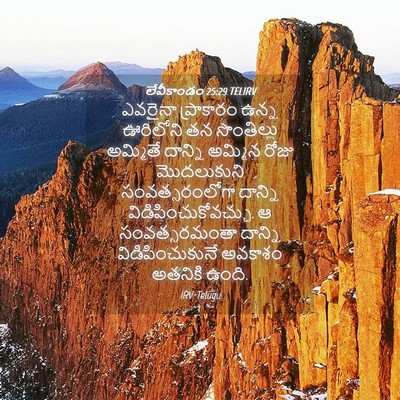 Picture 04 - లేవీకాండం 25:29 TELIRV - ఎవరైనా ప్రాకారం - Bible Verse Picture