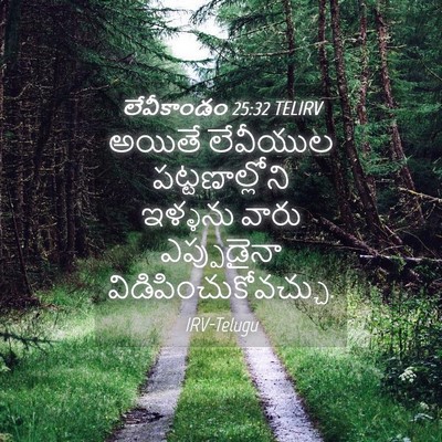 Picture 04 - లేవీకాండం 25:32 TELIRV - అయితే లేవీయుల - Bible Verse Picture