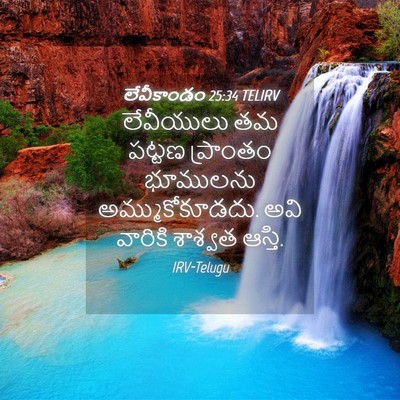 Picture 04 - లేవీకాండం 25:34 TELIRV - లేవీయులు తమ పట్టణ - Bible Verse Picture