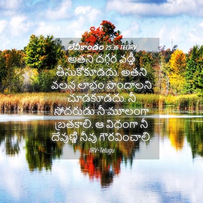 Picture 04 - లేవీకాండం 25:36 TELIRV - అతని దగ్గర వడ్డీ - Bible Verse Picture