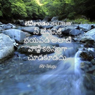 Picture 04 - లేవీకాండం 25:43 TELIRV - నీ దేవునికి భయపడి - Bible Verse Picture