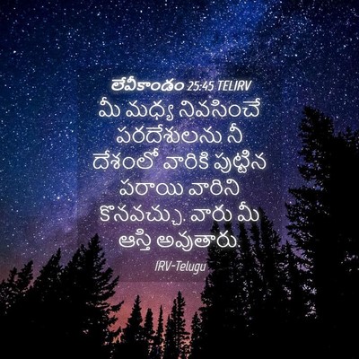 Picture 04 - లేవీకాండం 25:45 TELIRV - మీ మధ్య నివసించే - Bible Verse Picture