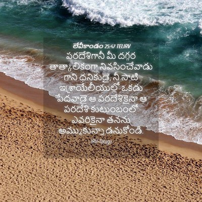 Picture 04 - లేవీకాండం 25:47 TELIRV - పరదేశిగానీ మీ - Bible Verse Picture