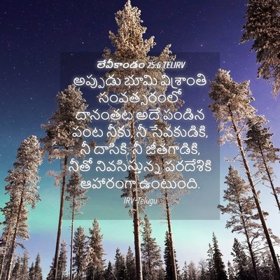 Picture 04 - లేవీకాండం 25:6 TELIRV - అప్పుడు భూమి - Bible Verse Picture