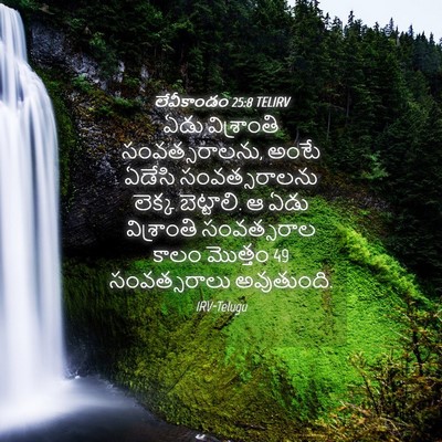 Picture 04 - లేవీకాండం 25:8 TELIRV - ఏడు విశ్రాంతి - Bible Verse Picture