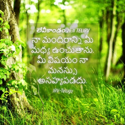 Picture 04 - లేవీకాండం 26:11 TELIRV - నా మందిరాన్ని మీ - Bible Verse Picture