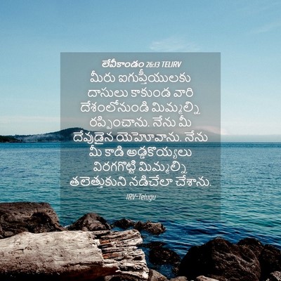 Picture 04 - లేవీకాండం 26:13 TELIRV - మీరు ఐగుప్తీయులకు - Bible Verse Picture