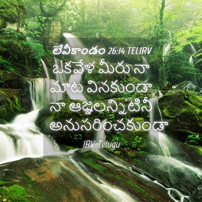 Picture 04 - లేవీకాండం 26:14 TELIRV - ఒకవేళ మీరు నా మాట - Bible Verse Picture